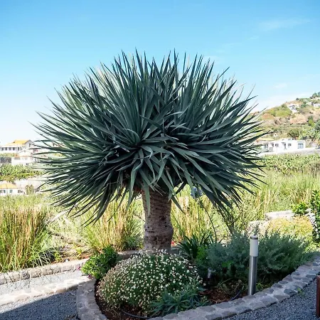 Ocean's 13 Ponta do Sol (Madeira)