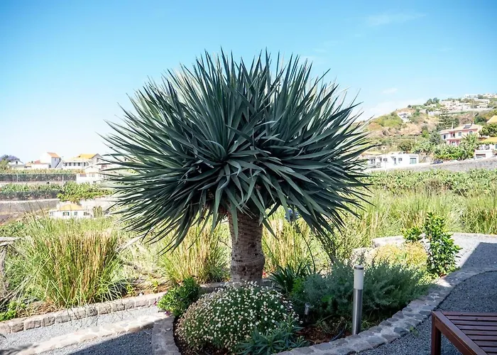 Ocean's 13 Ponta do Sol (Madeira)